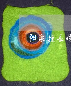 阳泉擅长婚姻继承律师 阳泉擅长婚姻继承律师