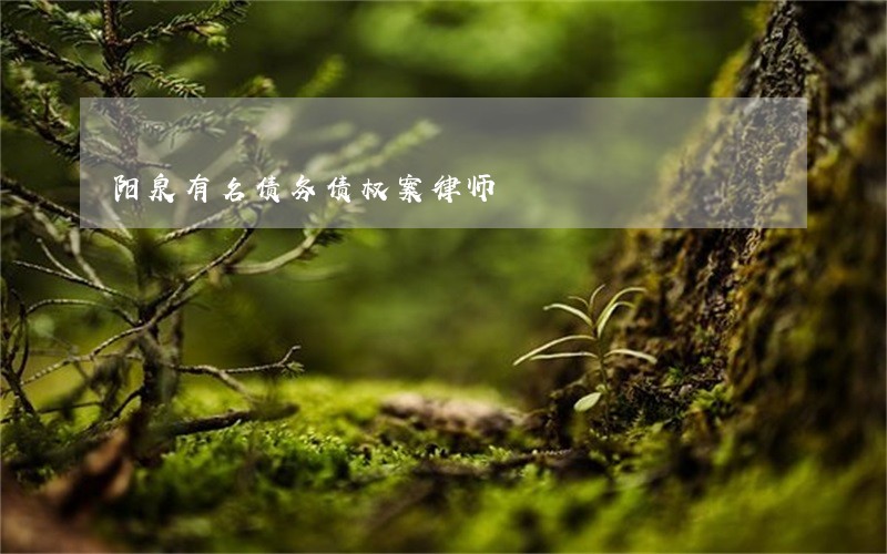 阳泉有名债务债权案律师 阳泉有名债务债权案律师