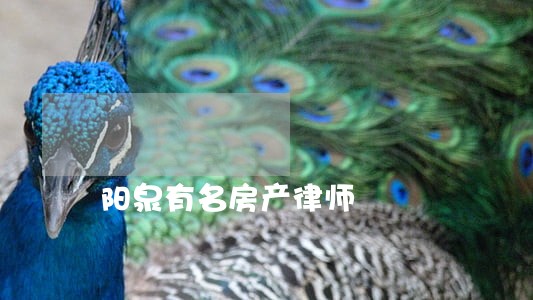 阳泉有名房产律师