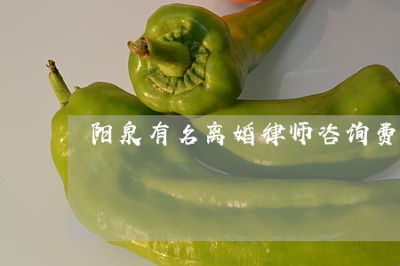 阳泉有名离婚律师咨询费 阳泉有名离婚律师咨询费