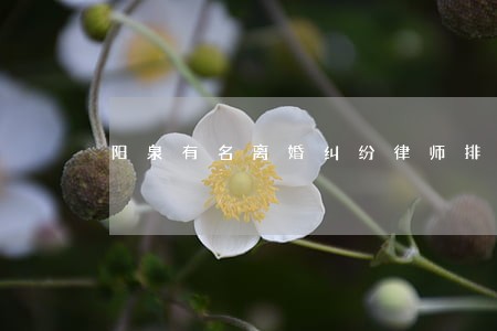 阳泉有名离婚纠纷律师排名 阳泉有名离婚纠纷律师排名