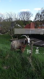 阳泉法律援助有哪些 阳泉法律援助有哪些