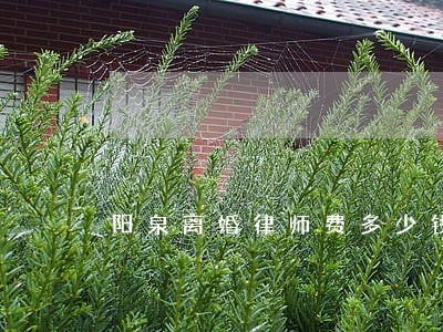 阳泉离婚律师费多少钱 阳泉离婚律师费多少钱