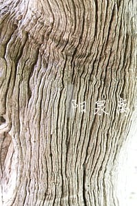 阳泉离婚房产纠纷律师 阳泉离婚房产纠纷律师