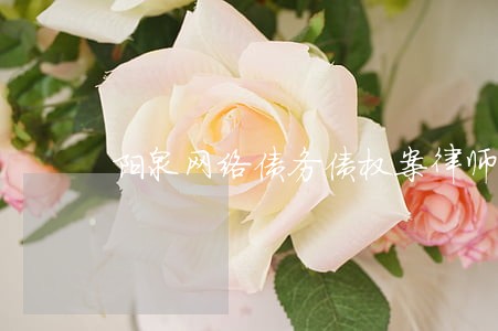 阳泉网络债务债权案律师特点 阳泉网络债务债权案律师特点