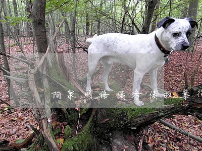 阳泉网络债务债权案律师联系方式 阳泉网络债务债权案律师联系方式