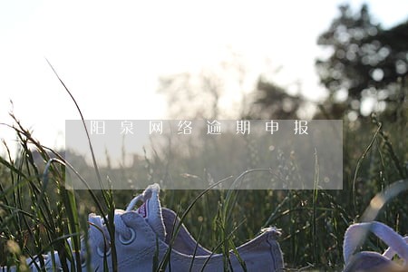 阳泉网络逾期申报 阳泉网络逾期申报
