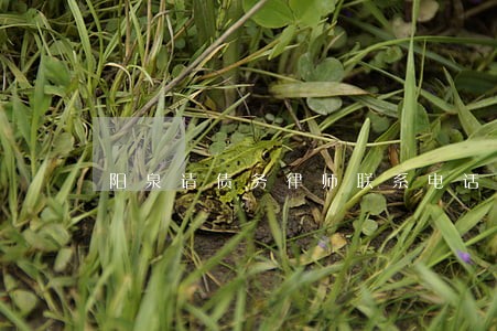 阳泉请债务律师联系电话 阳泉请债务律师联系电话