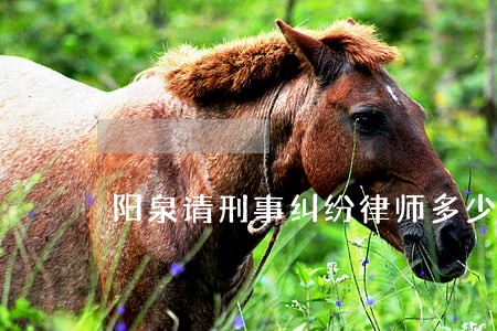阳泉请刑事纠纷律师多少钱 阳泉请刑事纠纷律师多少钱