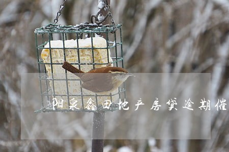 阳泉鑫田地产房贷逾期催缴