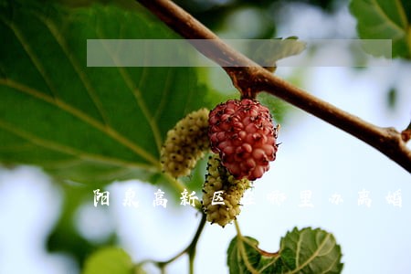 阳泉高新区在哪里办离婚证 阳泉高新区在哪里办离婚证