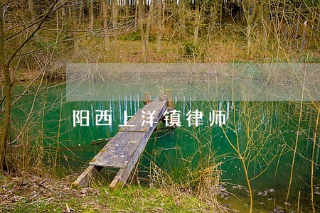 阳西上洋镇律师 阳西上洋镇律师