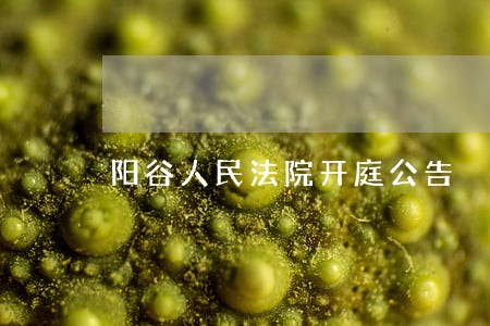 阳谷人民法院开庭公告 阳谷人民法院开庭公告