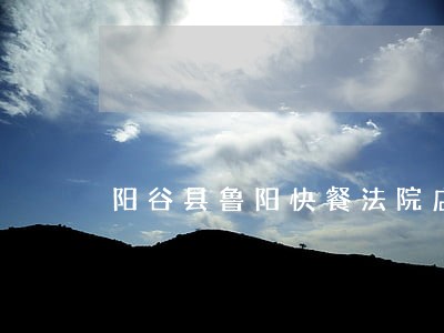 阳谷县鲁阳快餐法院店