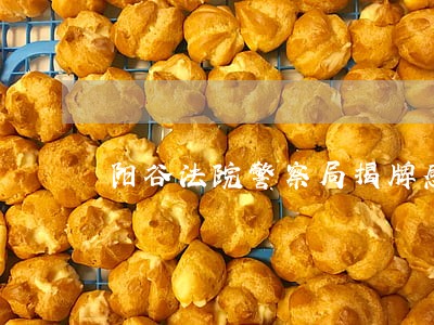 阳谷法院警察局揭牌感记