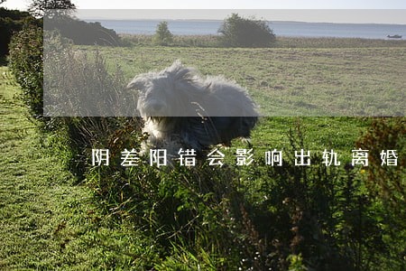 阴差阳错会影响出轨离婚吗 阴差阳错会影响出轨离婚吗