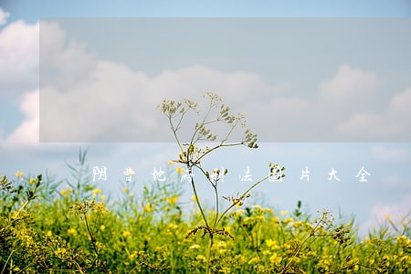 阴曹地府刑法图片大全