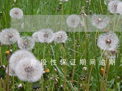 阶段性保证期间逾期
