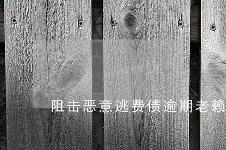 阻击恶意逃费债逾期老赖