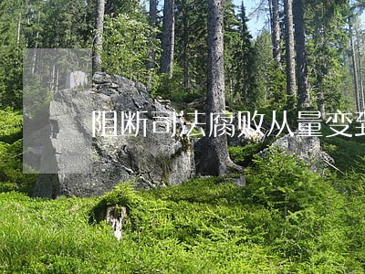 阻断司法腐败从量变到质变 阻断司法腐败从量变到质变
