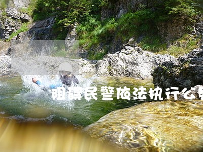 阻碍民警依法执行公务法律条文