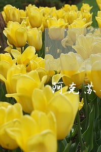 阿克苏合伙经营纠纷律师 阿克苏合伙经营纠纷律师