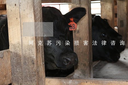 阿克苏污染损害法律咨询热线 阿克苏污染损害法律咨询热线