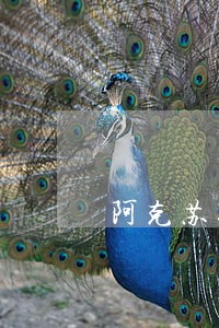 阿克苏聘请交通事故调解律师