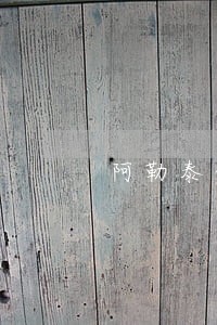 阿勒泰债务纠纷律师 阿勒泰债务纠纷律师