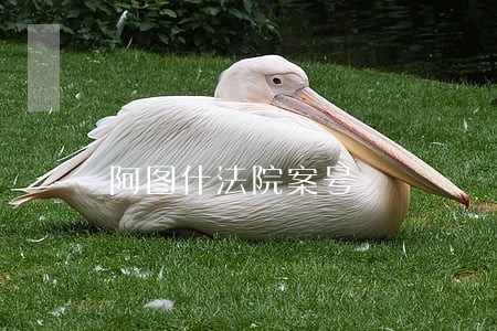 阿图什法院案号 阿图什法院案号