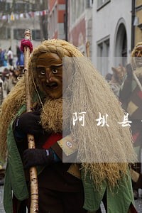 阿坝县工伤赔偿律师在线咨询 阿坝县工伤赔偿律师在线咨询