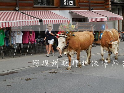 阿坝州抵押担保律师在线咨询