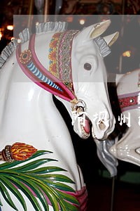 阿坝州法院电话 阿坝州法院电话