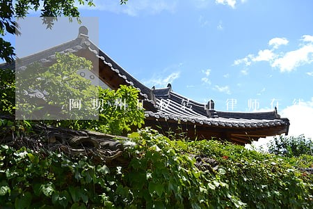阿坝州矿权转让律师在线解答
