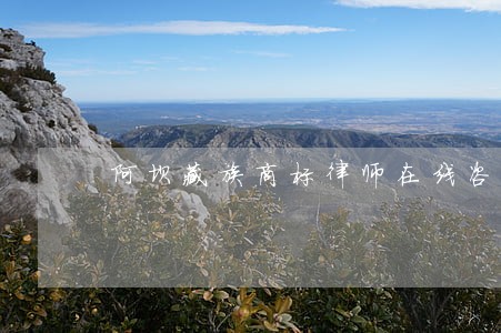 阿坝藏族商标律师在线咨询 阿坝藏族商标律师在线咨询