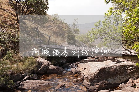 阿城债务纠纷律师 阿城债务纠纷律师