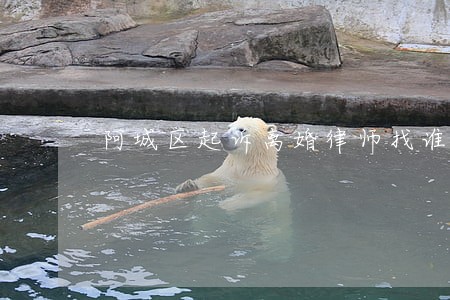 阿城区起诉离婚律师找谁 阿城区起诉离婚律师找谁