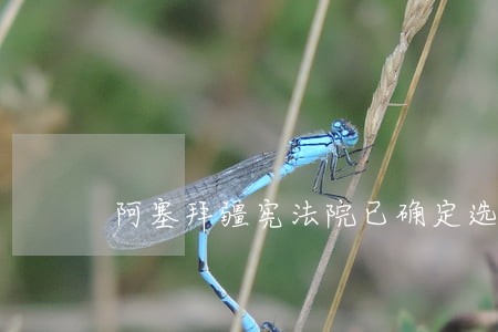 阿塞拜疆宪法院已确定选举结果 阿塞拜疆宪法院已确定选举结果