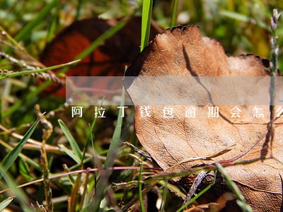 阿拉丁钱包逾期会怎么样