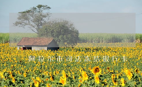 阿拉尔市司法冻结银行卡 阿拉尔市司法冻结银行卡
