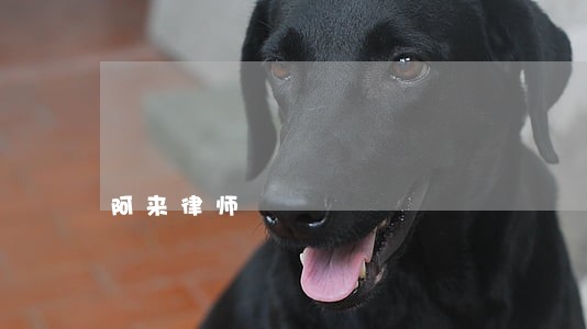 阿来律师