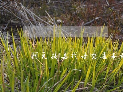 阿瓦提县找请交通事故律师 阿瓦提县找请交通事故律师