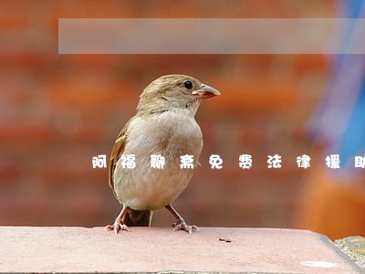 阿福聊斋免费法律援助 阿福聊斋免费法律援助
