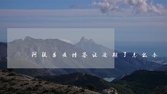 阿联酋疫情签证逾期了怎么办