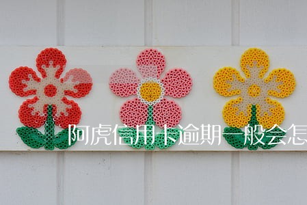 阿虎信用卡逾期一般会怎么样 阿虎信用卡逾期一般会怎么样