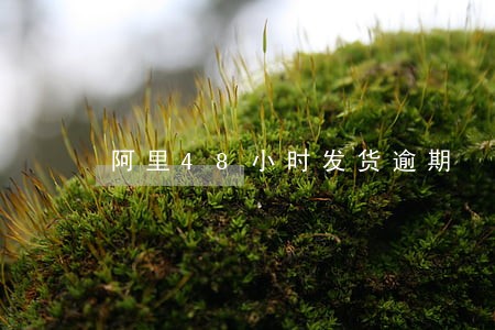 阿里48小时发货逾期 阿里48小时发货逾期