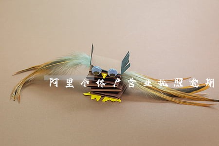 阿里个体户营业执照逾期注销