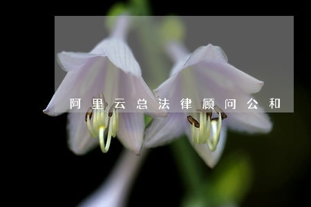 阿里云总法律顾问公和