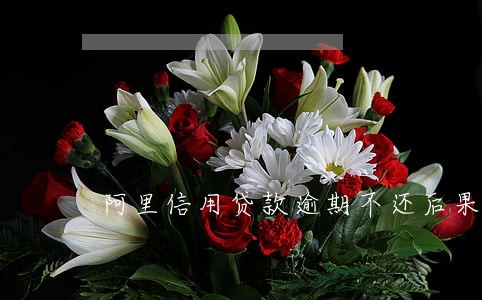 阿里信用贷款逾期不还后果