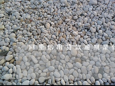 阿里信用贷款逾期是什么意思